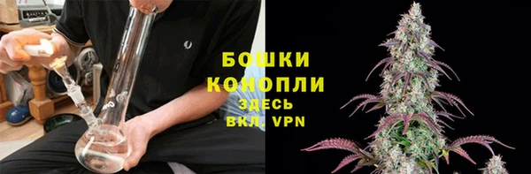 каннабис Беломорск
